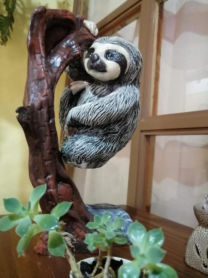 Hotel Santa Fe B&B Monteverde 外观 照片