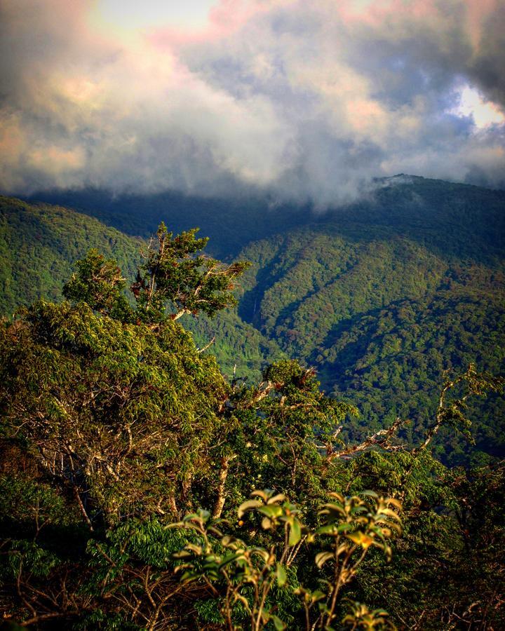 Hotel Santa Fe B&B Monteverde 外观 照片